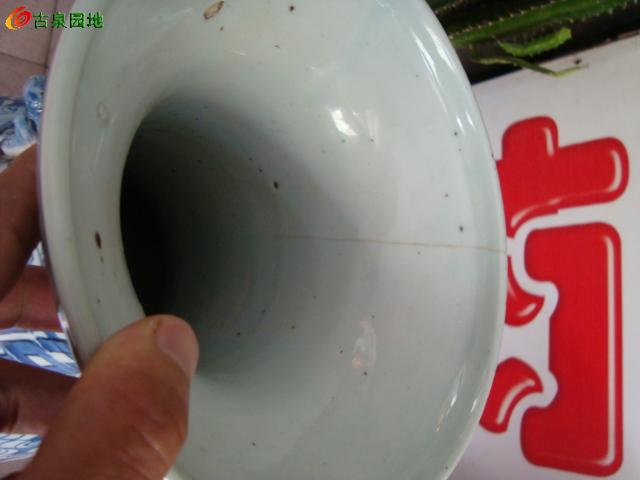 606_46263_39d866f8df35c33.jpg