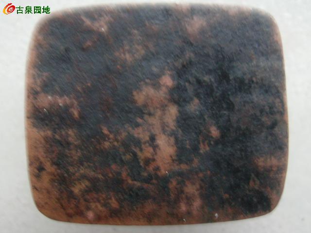 116_99944_d4566bd07fd6dec.jpg