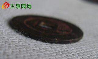 41_56617_c25fb1324f9cfef.jpg