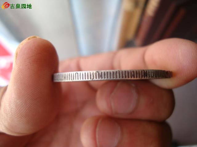 398_46263_d9e9b2bd1c400ab.jpg