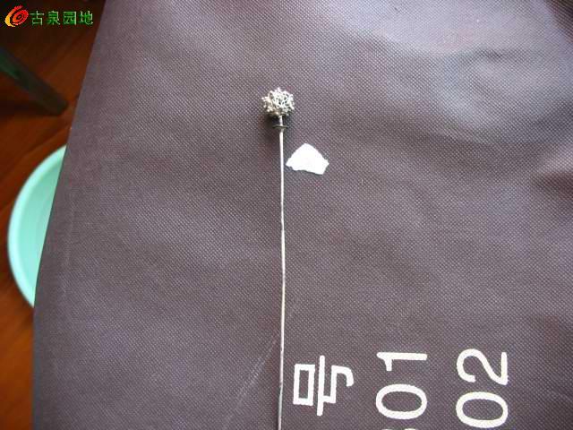 605_503_0b910c841774ae7.jpg