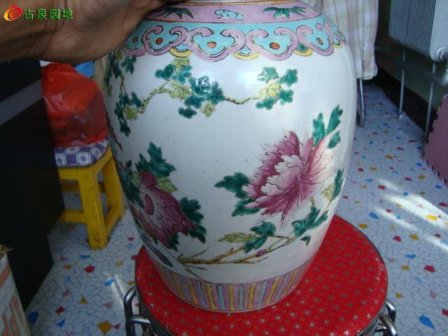606_46263_fdb1822df456341.jpg