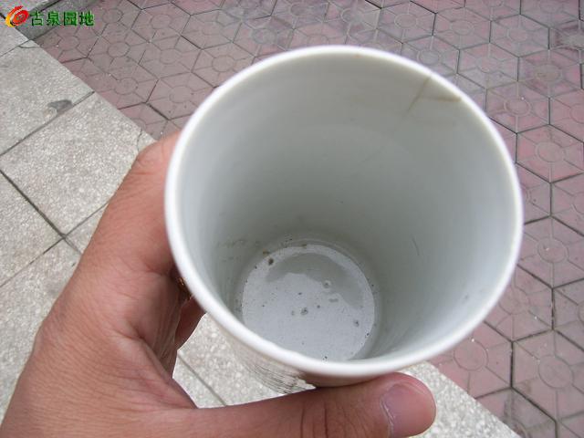 606_30417_6f6cb7f05019711.jpg