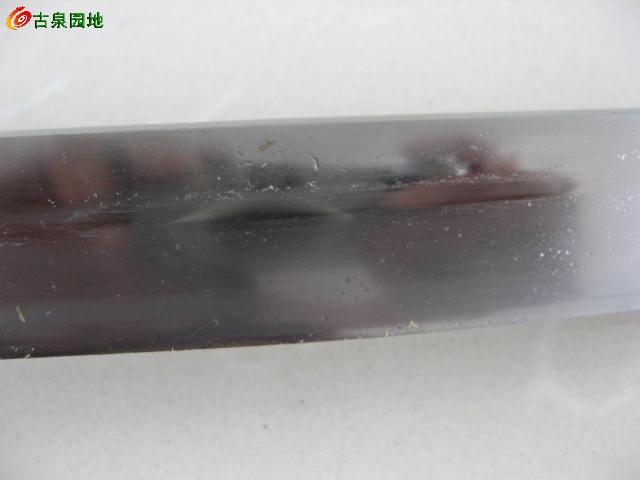 116_30442_9dfc8d4899d1aa0.jpg