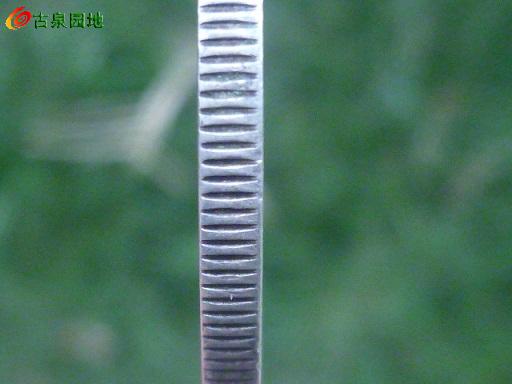 572_76317_5836467a4a3c427.jpg