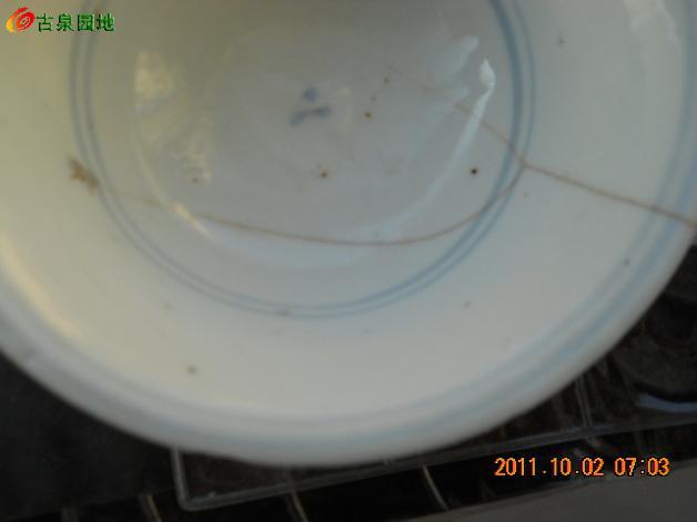 606_67153_3e89b61aafef454.jpg