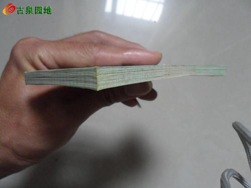 600_24825_66ac6764f8fdda0.jpg