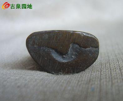 116_56617_3afa279f36e0ca2.jpg