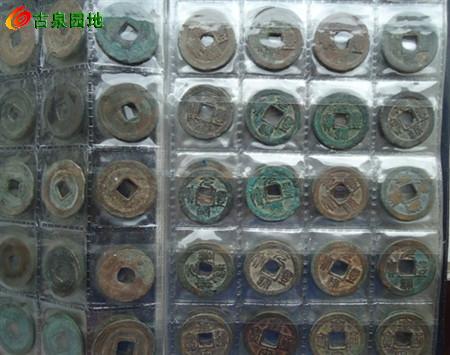 41_63211_8ce12ae3f5bc171.jpg