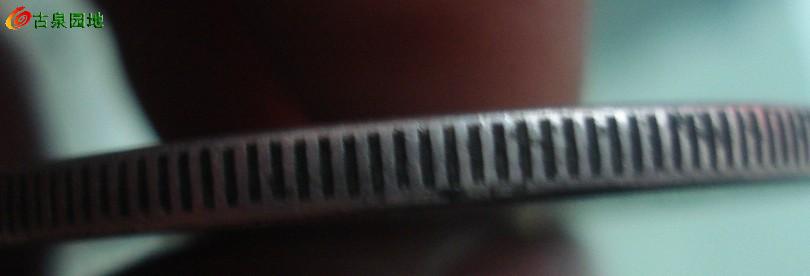 572_110583_e3a5baa078d1694.jpg