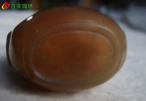605_56617_f77d37bcb13f9de.jpg