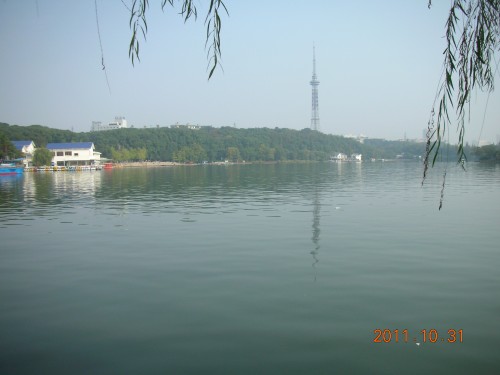49_117471_4c504320037f7ed.jpg