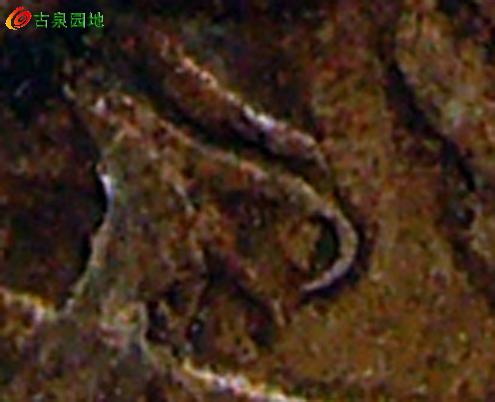 572_42635_29fedd6ae6bb127.jpg