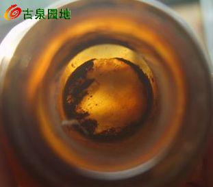 605_56617_0fae72f1261be9e.jpg