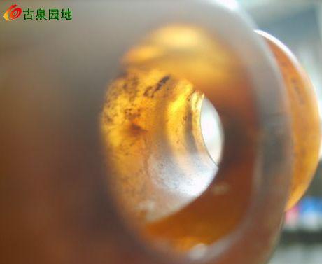605_56617_dd5d4e376a40e4d.jpg