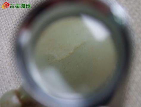 605_56617_014920eef582829.jpg