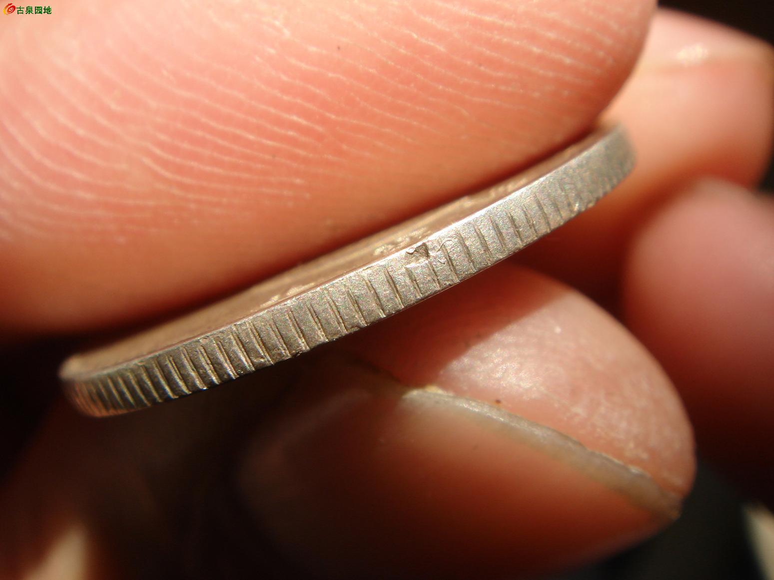 398_9767_5008528cc646c94.jpg