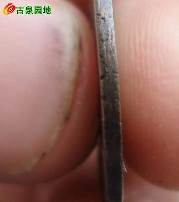 21_50994_4f6f2f64e145aad.jpg