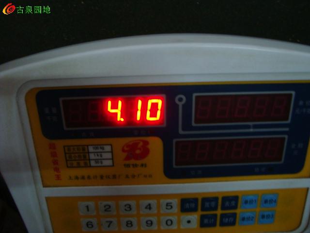 23_46263_f739a2de1f61979.jpg