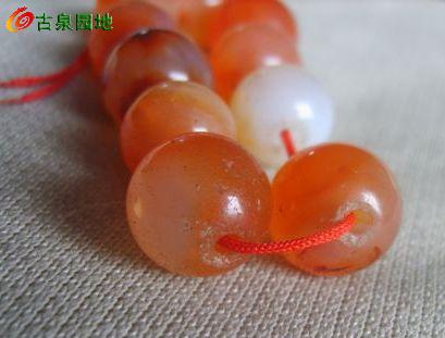 605_56617_635dd692fdaee6e.jpg
