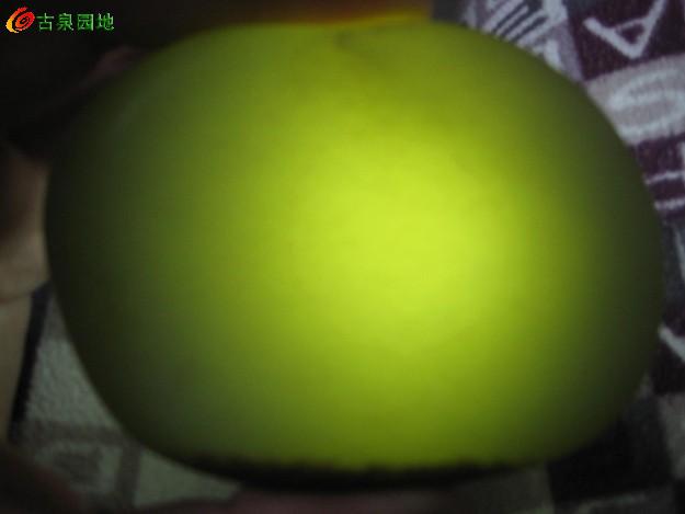 605_10656_25bd24eaf2d0942.jpg