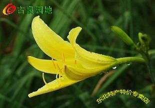 606_46263_9bfc9e0f18c3f5b.jpg