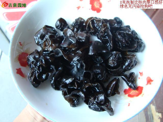 606_46263_c0a2abfd9acd9dd.jpg