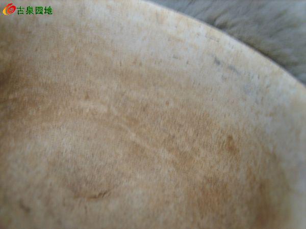 606_56617_2693cbe883eff17.jpg