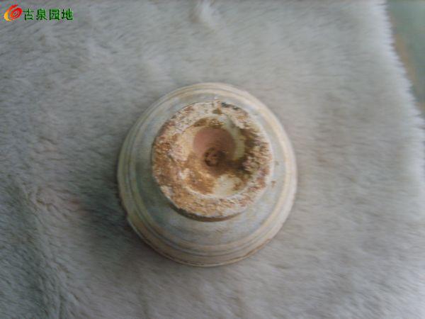 606_56617_d7d8954cc0075ef.jpg