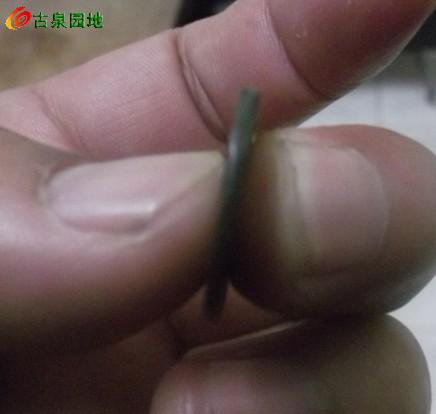 3_125723_454fdd7156dc2cb.jpg