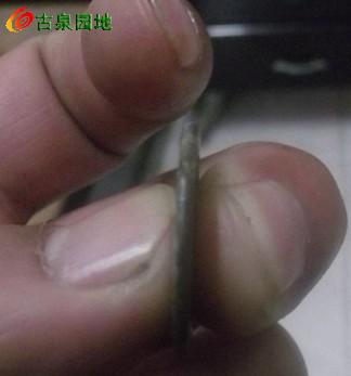 3_125723_8f4884f2ec93bdc.jpg