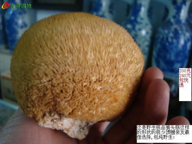 606_46263_5db02e1ba3a0a6b.jpg