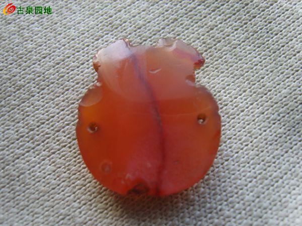 605_56617_62ef4de9bd9e2f2.jpg