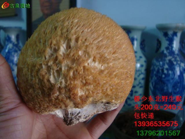 606_46263_061acc8acc6a641.jpg