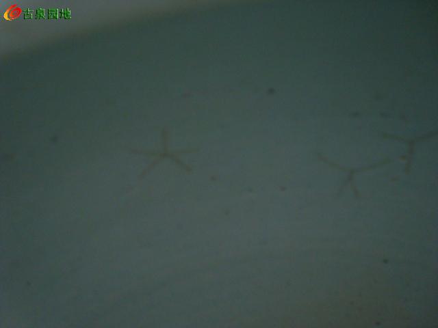 606_46263_5b313738937cfbb.jpg