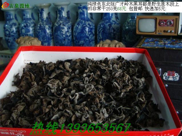 606_46263_6066e259b6cdb49.jpg