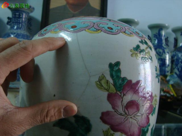 606_46263_b1a3a2180db1244.jpg