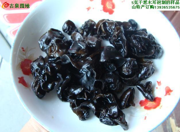 606_46263_d96d58bb4c8eee0.jpg