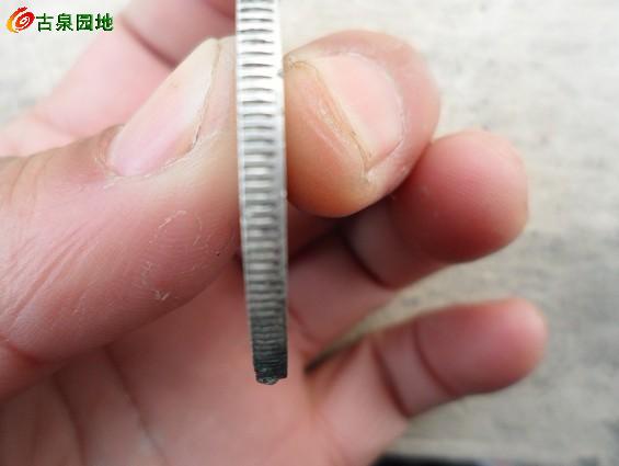 398_125723_e72fdd77cd53cf7.jpg