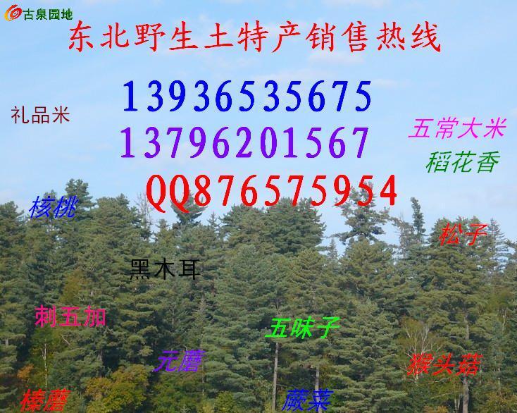 605_46263_2eefbf77940f11b.jpg