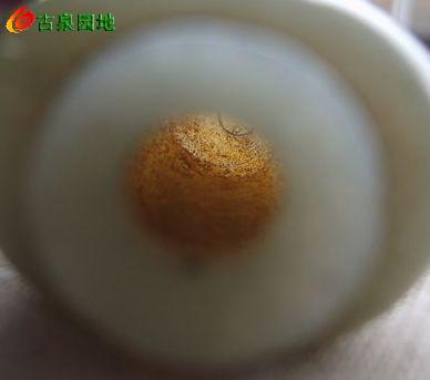 605_56617_d2df9849d91e3e9.jpg