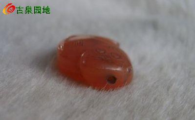 605_56617_3adce15c8bcd24c.jpg