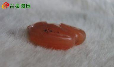 605_56617_b0bfec713fc7abb.jpg