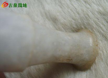 605_56617_8f26af68864e3d3.jpg