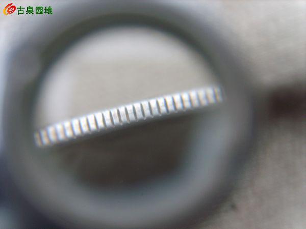 572_56617_e526d1c6c2699fc.jpg