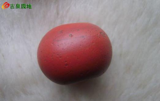 605_56617_3fe7bc99c6b4b12.jpg