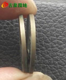 21_83060_f80809da2aec9ff.jpg