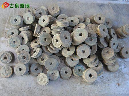 17_39848_2b27be9cb7724ba.jpg
