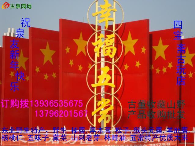 23_46263_45020e5765f9bec.jpg