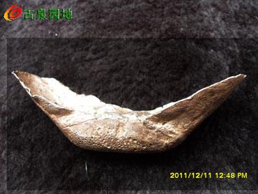 398_130518_2ab6283aef9fdc2.jpg